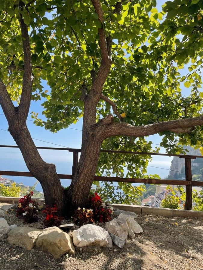 Casa Enzo Con Vista Mare Lejlighed Amalfi Eksteriør billede